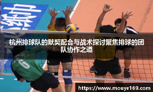 杭州排球队的默契配合与战术探讨聚焦排球的团队协作之道